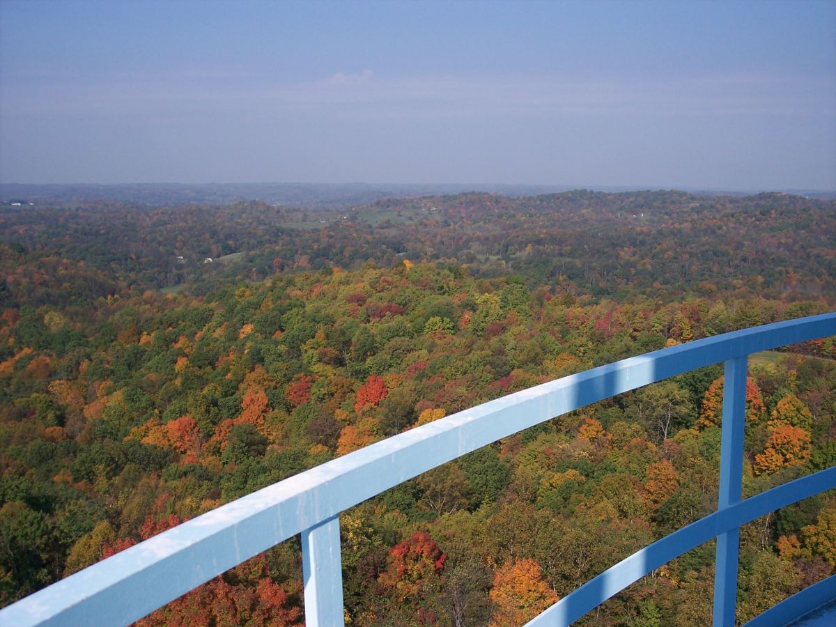 A view from the water tank. Abbsolutely stunning foliage!